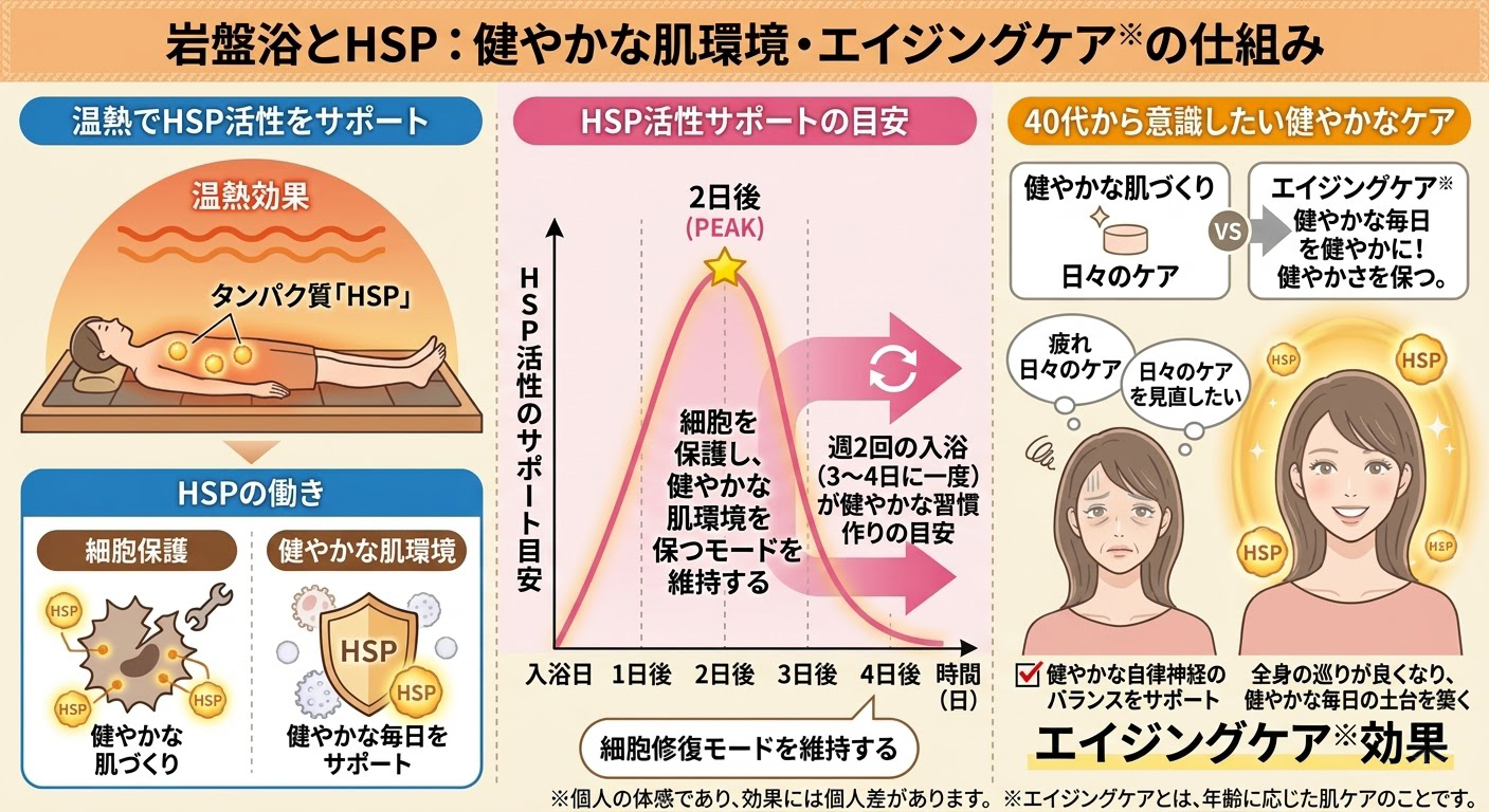 岩盤浴の温熱効果によるHSP（ヒートショックプロテイン）活性化の仕組みと、健やかな肌環境・エイジングケアをサポートするサイクル図解。温熱によって細胞を保護するHSPの働きや、入浴2日後をピークとするHSP活性の波、そして健やかな状態を維持するための「週2回（3〜4日に一度）」の入浴目安を解説しています。
